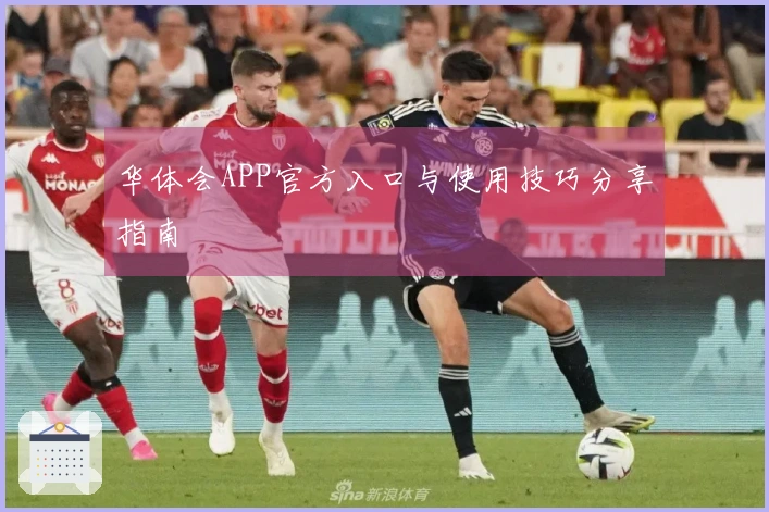 华体会APP官方入口与使用技巧分享指南